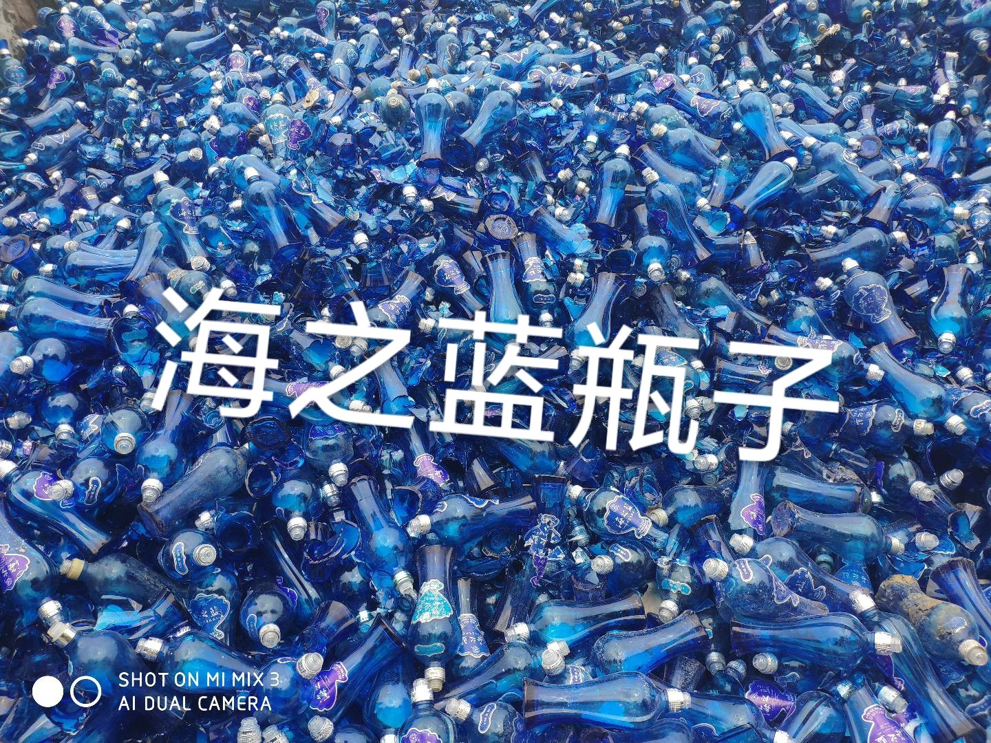 宜兴海之蓝瓶回收